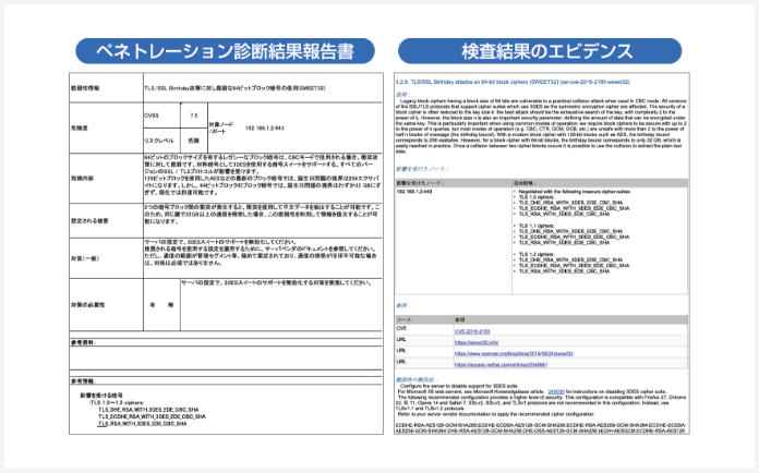 ペネトレーション診断テストサービス テプコシステムズ コーポレートサイト