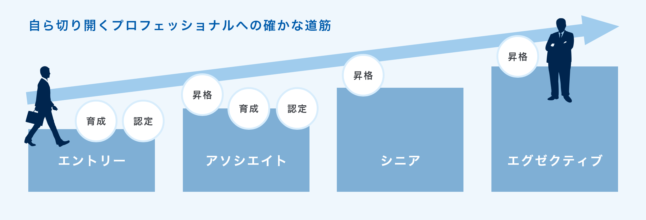 自ら切り開くプロフェッショナルへの確かな道筋